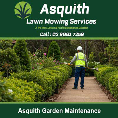 Worker maintaining garden hedges along a pathway in Asquith