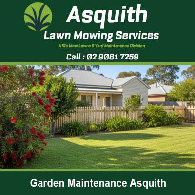 Well maintained garden with house in Asquith
