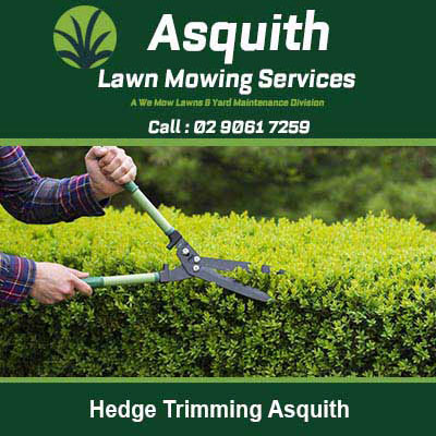 Using hedge trimmers to cut a green hedge in Asquith