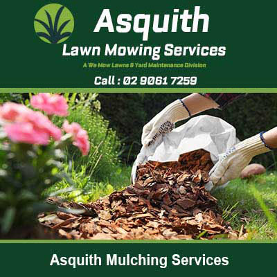 Pouring wood chip mulch from a bag to garden soil in Asquith