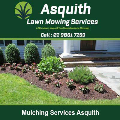 Freshly mulched garden bed with plants around in Asquith