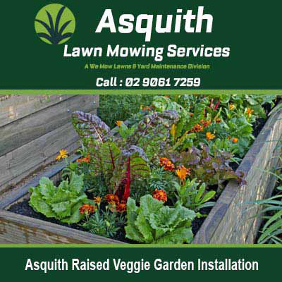 Wooden raised garden beds in Asquith