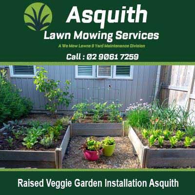 Wooden raised garden beds with vegetables in in Asquith