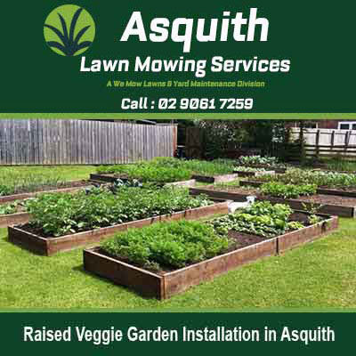 Wooden raised garden beds arranged on lawn in Asquith