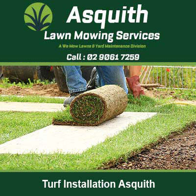Person rolling out turf for lawn installation in Asquith
