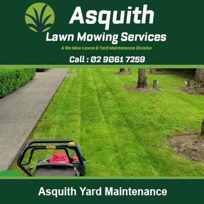 Lawn mower on a freshly cut green lawn in Asquith