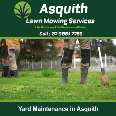 Person with yard maintenance equipment in Asquith