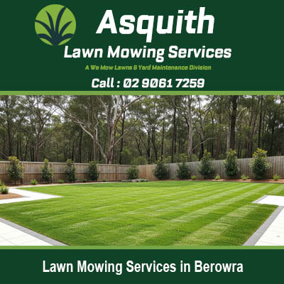 Expert lawn mowing services in Berowra displaying immaculate residential lawn with professional mowing stripes