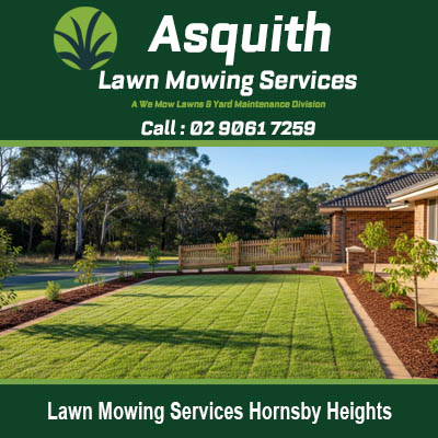 Expert lawn mowing services in Hornsby Heights displaying residential lawn with professional mowing stripes