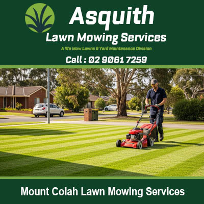Professional lawn mowing services in Mount Colah NSW showing expert grass cutting and residential garden maintenance