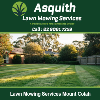Expert lawn maintenance and mowing services available for Mount Colah homes and residential gardens
