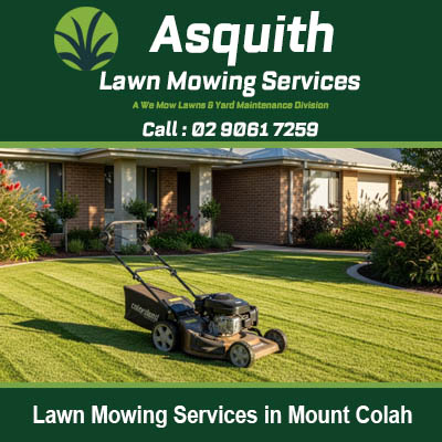 Affordable lawn mowing services in Mount Colah NSW offering professional grass cutting for local residents